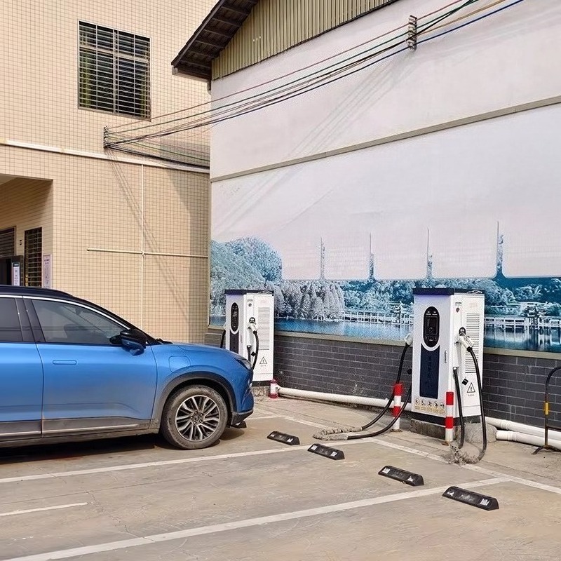 AC DC Car Charging Station 7KW - Fast Ev Charger 评论和价格